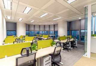 十六碳烯酸甲酯(反-9) CAS：10030-74-7