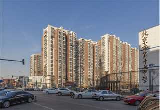 日照成球机生产厂家