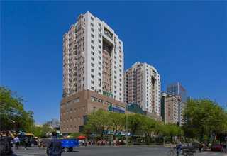 上海自然树脂牙电话